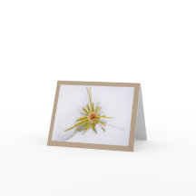 Tarjetas de notas de instantáneas de Sierra Orient