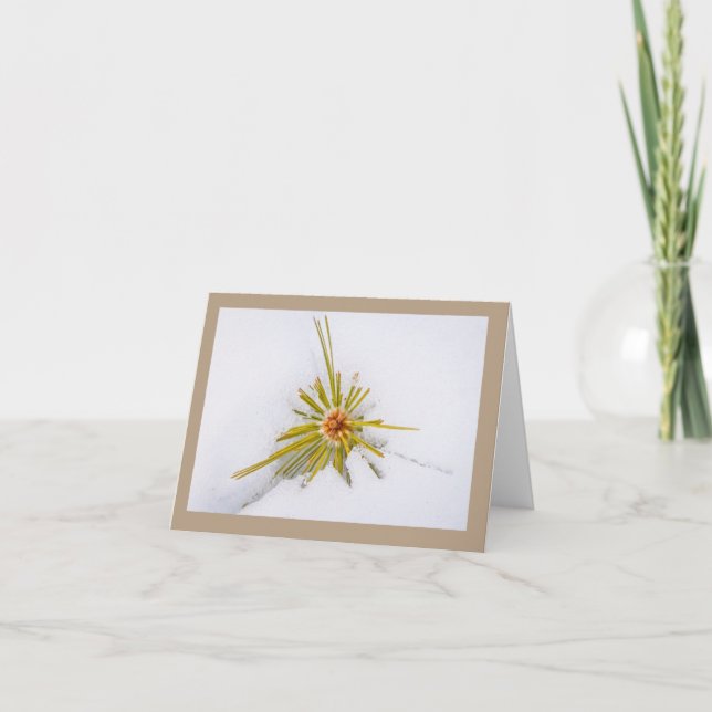 Tarjetas de notas de instantáneas de Sierra Orient (Anverso)