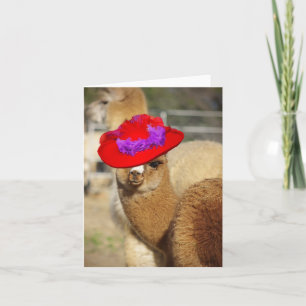 Tarjetas de notas de la Alpaca Cuta