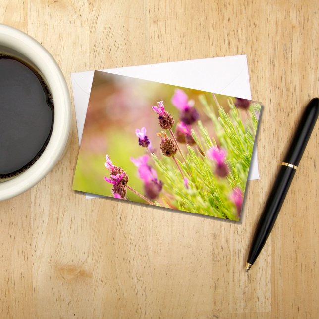 Tarjetas de notas de las flores de lavanda frances (Subido por el creador)