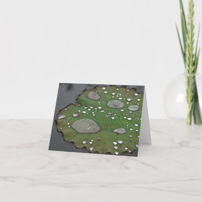 Tarjetas de notas de Lily Pad (Anverso)