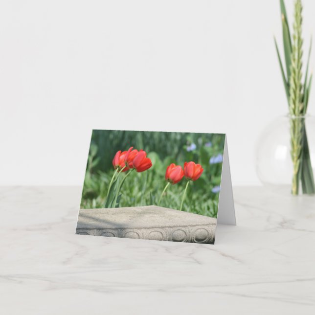 Tarjetas de notas de los tulipanes rojos (Anverso)