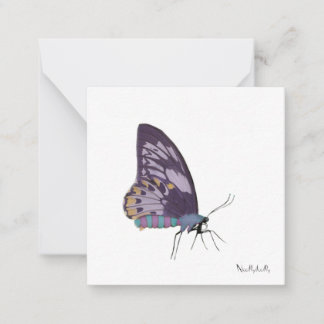 Tarjetas de notas de mariposa