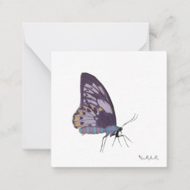 Tarjetas de notas de mariposa