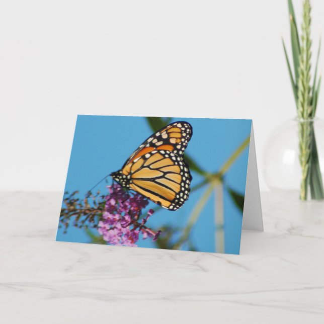 Tarjetas de notas de mariposa (Anverso)