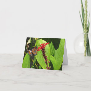 Tarjetas de notas de mariposa no específicas