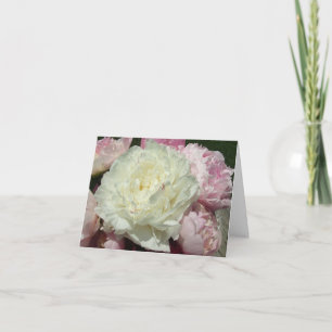 Tarjetas de notas de peones rosados/tonos rosados