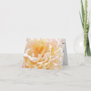 Tarjetas de notas de Peony Blanco
