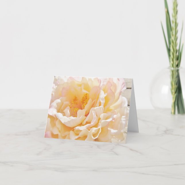 Tarjetas de notas de Peony Blanco (Anverso)