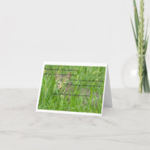 Tarjetas de notas de reglas de gatos
