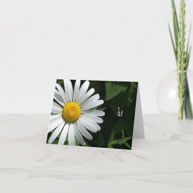 Tarjetas de notas de Shasta Daisy (Anverso)