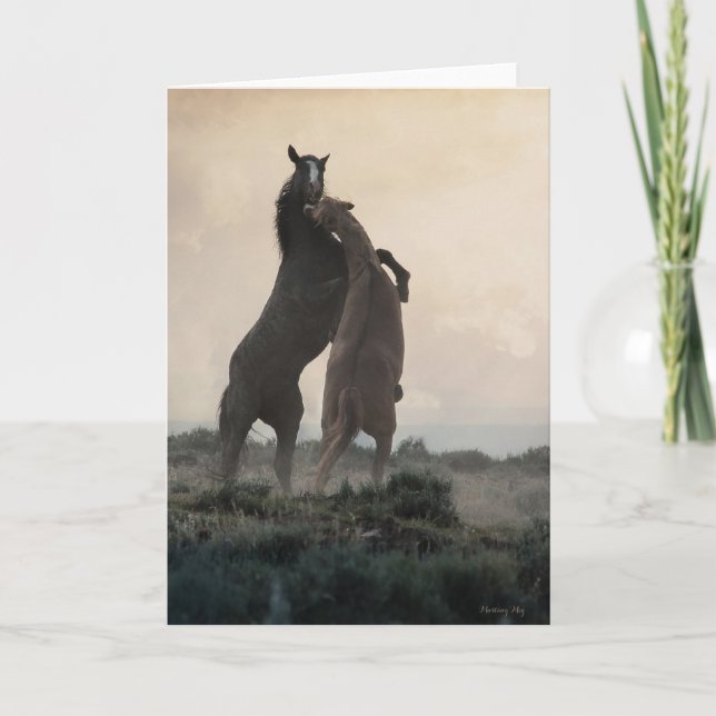 Tarjetas de notas de Stallions silvestres (Anverso)