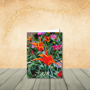 Tarjetas de notas de tulipanes puntiagudos y Naran