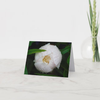 Tarjetas de notas dobladas de fotografía de arte f
