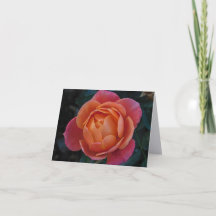 Tarjetas de notas dobladas de fotografía de arte f