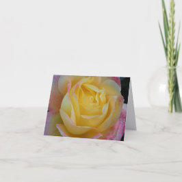 Tarjetas de notas dobladas de fotografía de arte f
