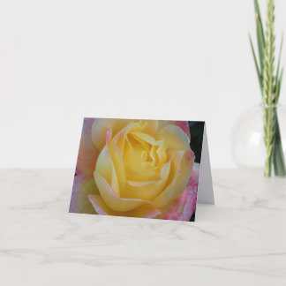 Tarjetas de notas dobladas de fotografía de arte f