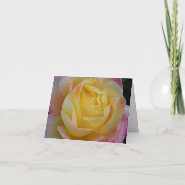 Tarjetas de notas dobladas de fotografía de arte f (Anverso)