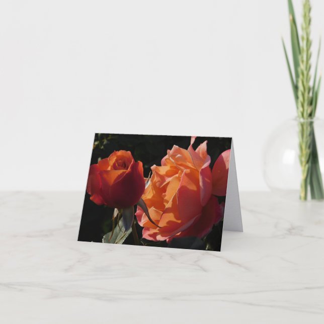 Tarjetas de notas dobladas de fotografía de arte f (Anverso)