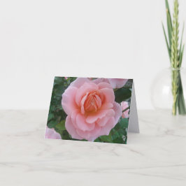 Tarjetas de notas dobladas de rosa suave romántica