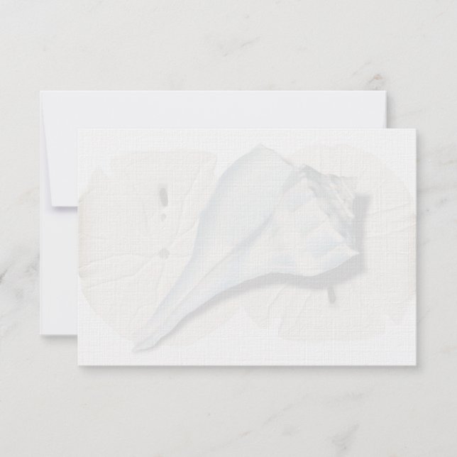 Tarjetas de notas en blanco con concha de Buccino (Anverso)