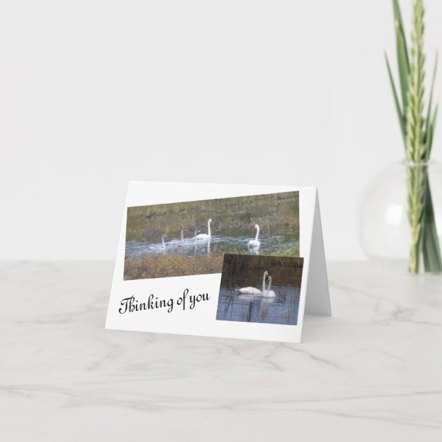 Tarjetas de notas en blanco de pluma (Anverso)