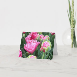 Tarjetas de notas en blanco de tulipanes rosados