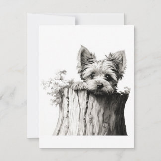 Tarjetas de notas en blanco de Yorkie