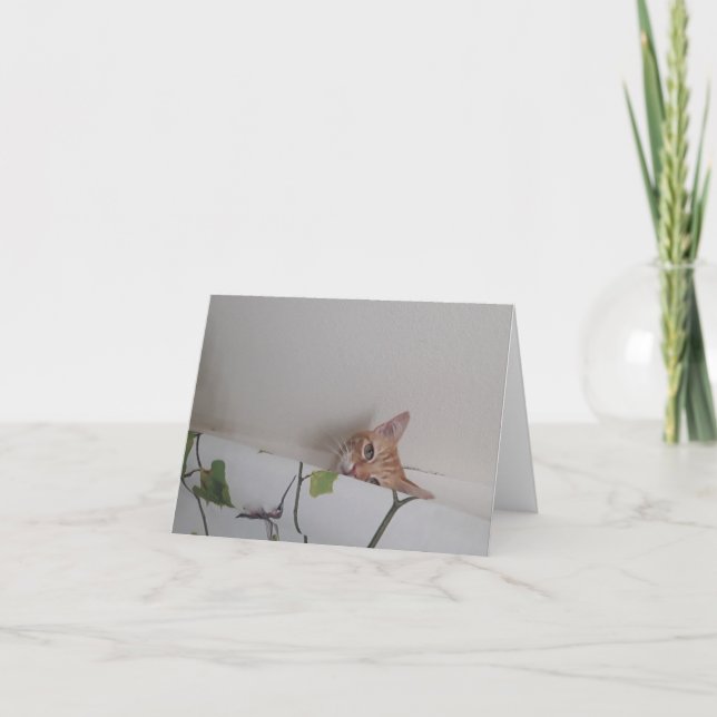 Tarjetas de notas en blanco Peek-a-Boo (Anverso)