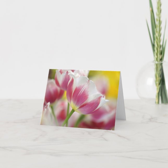 Tarjetas de notas florales de Tulip (Anverso)