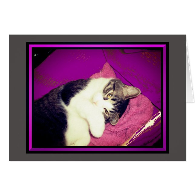 Tarjetas de notas Lucy Kitty (Anverso (Horizontal))