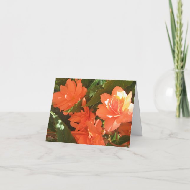 Tarjetas de notas para Begonias (Anverso)