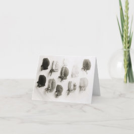 Tarjetas de notas para gorras de punto de época