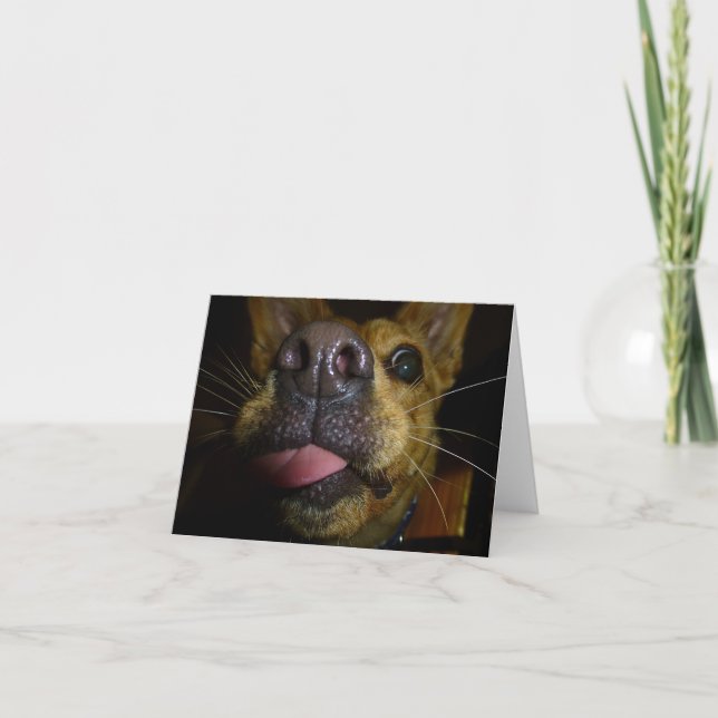 Tarjetas de notas para los besos de Doggie (Anverso)