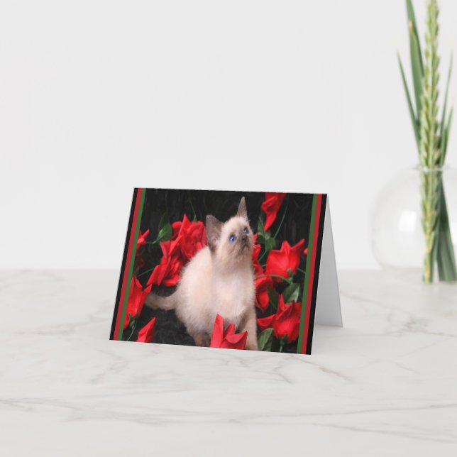 Tarjetas de notas para Rosas Kitty (Anverso)