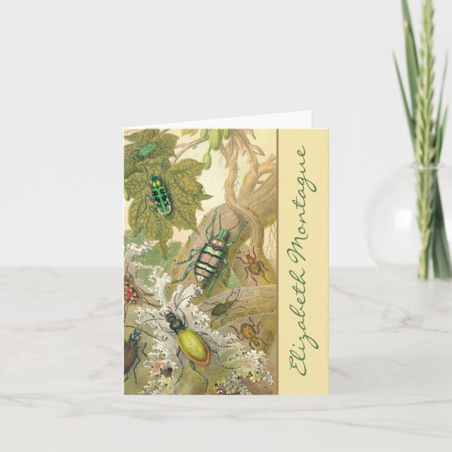 Tarjetas de notas personalizadas de escarabajos br (Anverso)