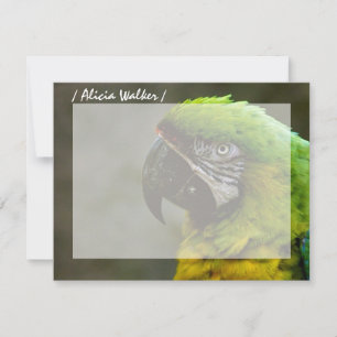Tarjetas de notas planas personalizadas de fotogra