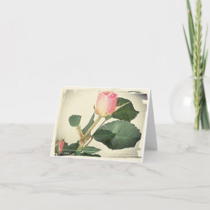 Tarjetas de notas plegadas rosa vintage