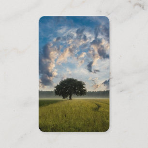Tarjetas de oración   Árbol solitario 1 Deluxe