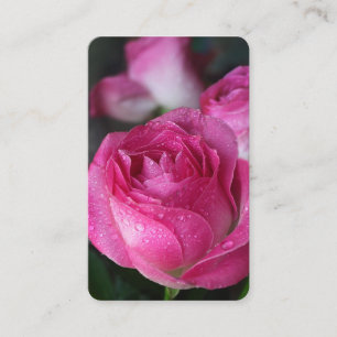 Tarjetas de oración   Delicado Rosa