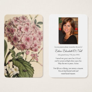 Tarjetas de oración   Hydrangea rosa