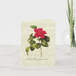 Tarjetas de papel botánico Camellia Rojo Redondo