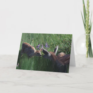 Tarjetas de papel Deer Doe y Fawn en blanco dentro