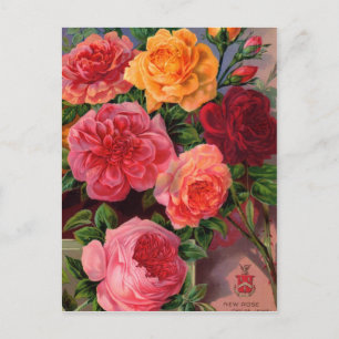 Tarjetas de paquete de semillas antiguas, rehenes 