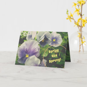 Tarjetas de Pascua de conversaciones silenciosas c