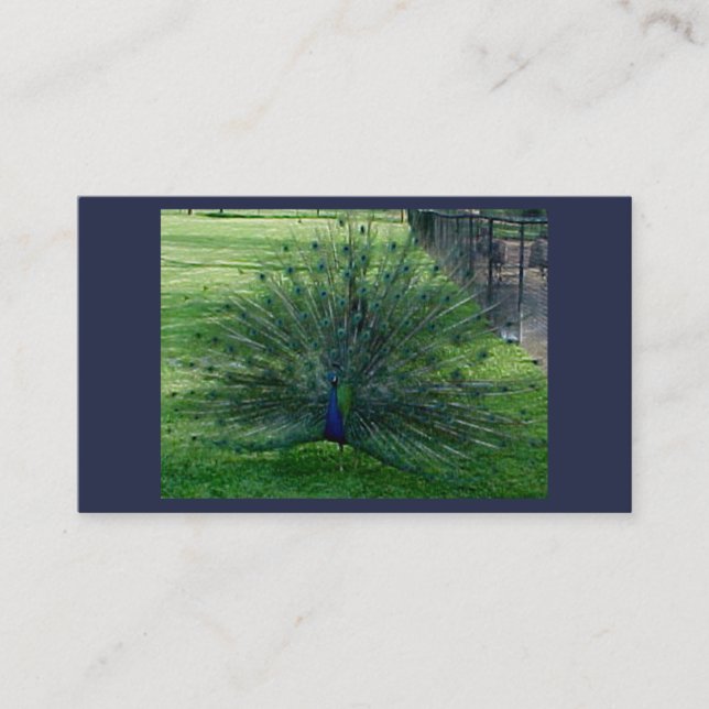 Tarjetas de Peacock Business (Anverso)