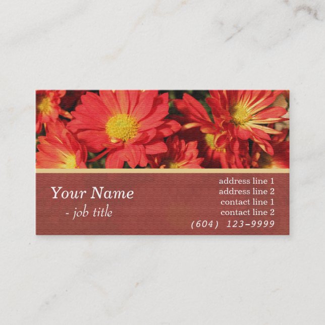 Tarjetas de perfil de flores de margaritas naranja (Anverso)