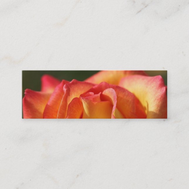 TARJETAS DE PERFIL ROSA DE PAZ (Anverso)