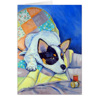 Tarjetas de perro de ganado australiano
