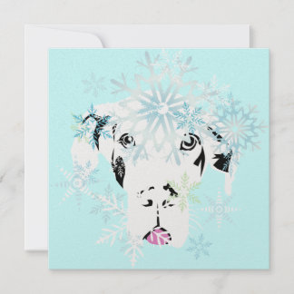 Tarjetas de Perro Metálicas Caja